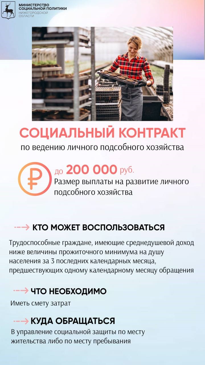 Социальный контракт по ведению личного подсобного хозяйства
